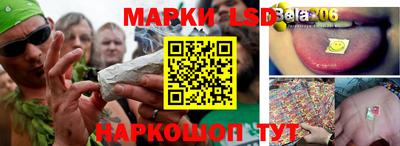 мяу мяу мука Будённовск
